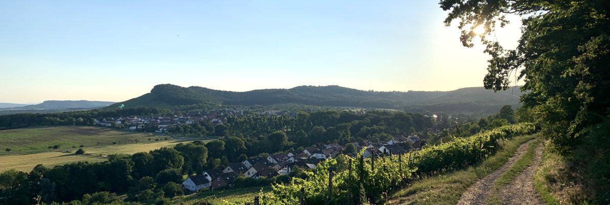 Gemeindearchiv Gemeinde Freudental